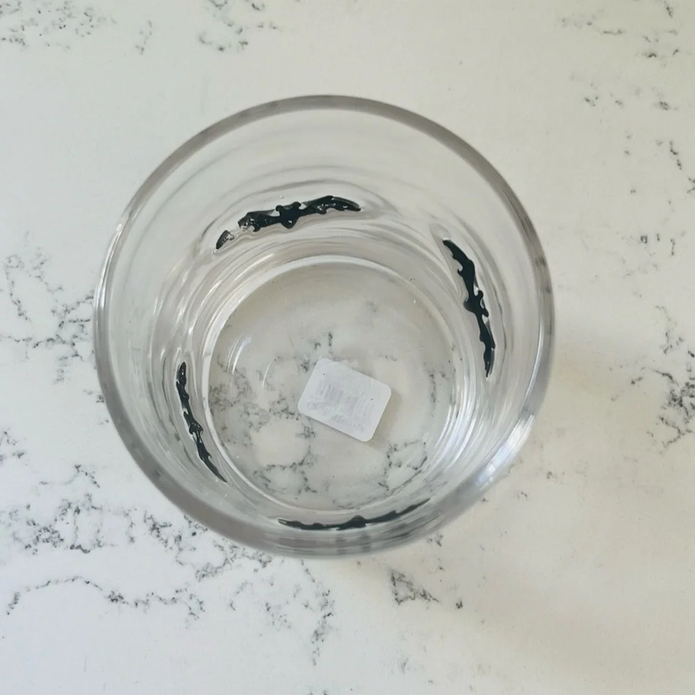 Crate&barrel 🦇 Bat Double Old-Fashioned Glass